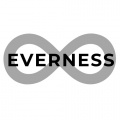logo firmy: Everness s.r.o.
