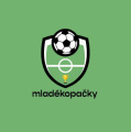 logo firmy: Bc. Stanislav Novičichin