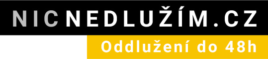 logo firmy: DEBT SOLUTIONS s.r.o.