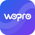 logo firmy: websprofiky s.r.o.
