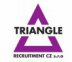 logo firmy: Triangle Recruitment CZ s.r.o.
