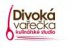 logo firmy: Studio Divoká vařečka