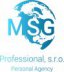logo firmy: MSG Professional s.r.o.