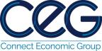 logo firmy: Connect Economic Group s.r.o.