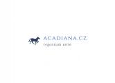 logo firmy: Acadiana.cz