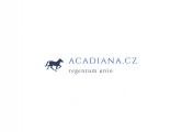 logo firmy: Acadiana s.r.o.