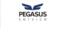 logo firmy: PEGASUS Service s.r.o.