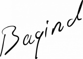logo firmy: Bagind company s.r.o.